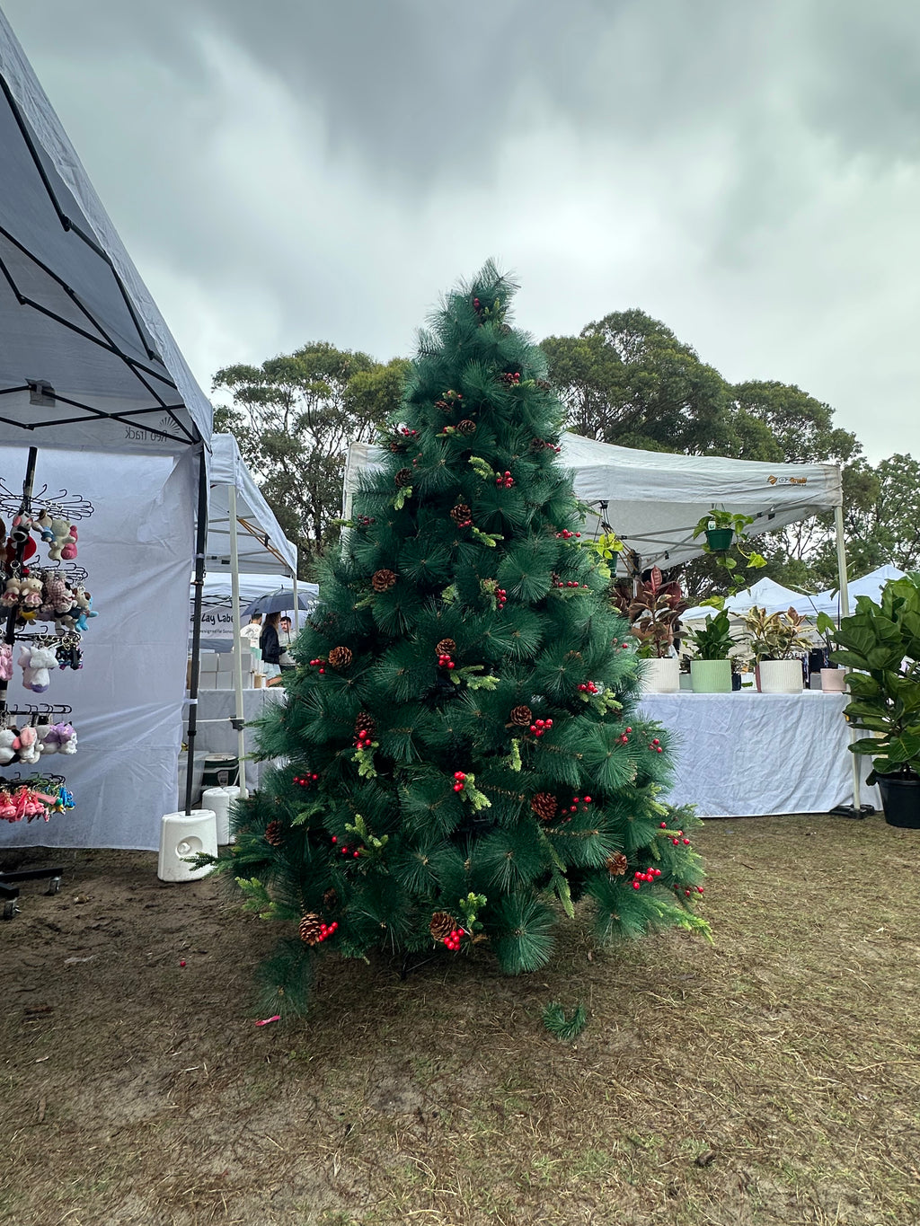 🎄 Get Your Beautiful Christmas Tree at Factory Price! 🎁
– 2.1m / 2.4m