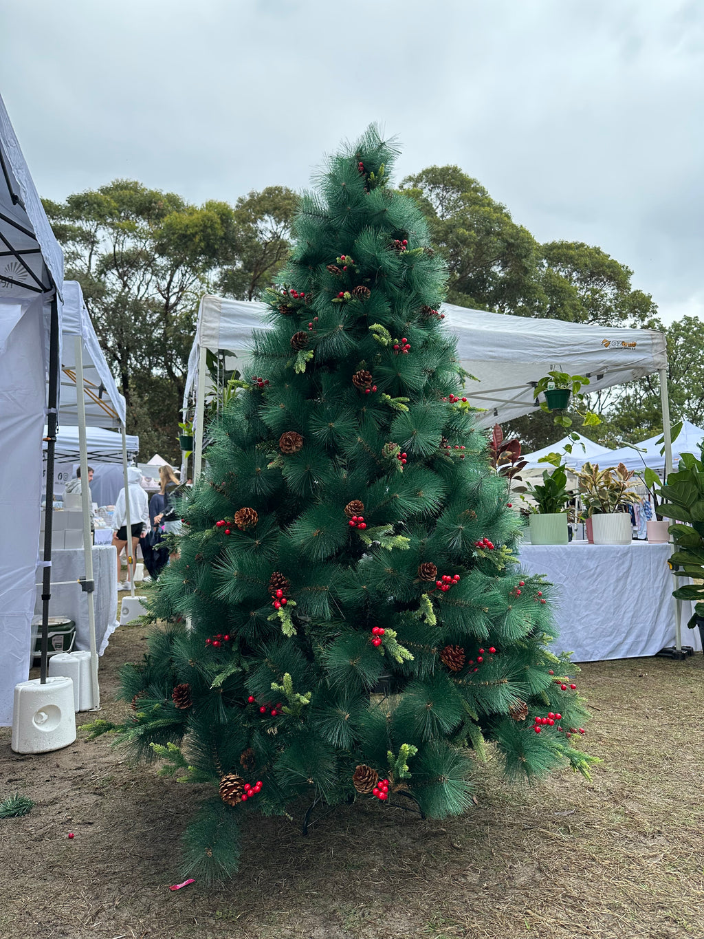 🎄 Get Your Beautiful Christmas Tree at Factory Price! 🎁
– 2.1m / 2.4m