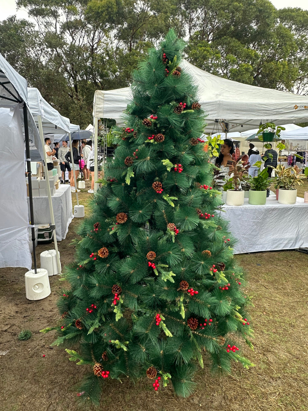 🎄 Get Your Beautiful Christmas Tree at Factory Price! 🎁
– 2.1m / 2.4m