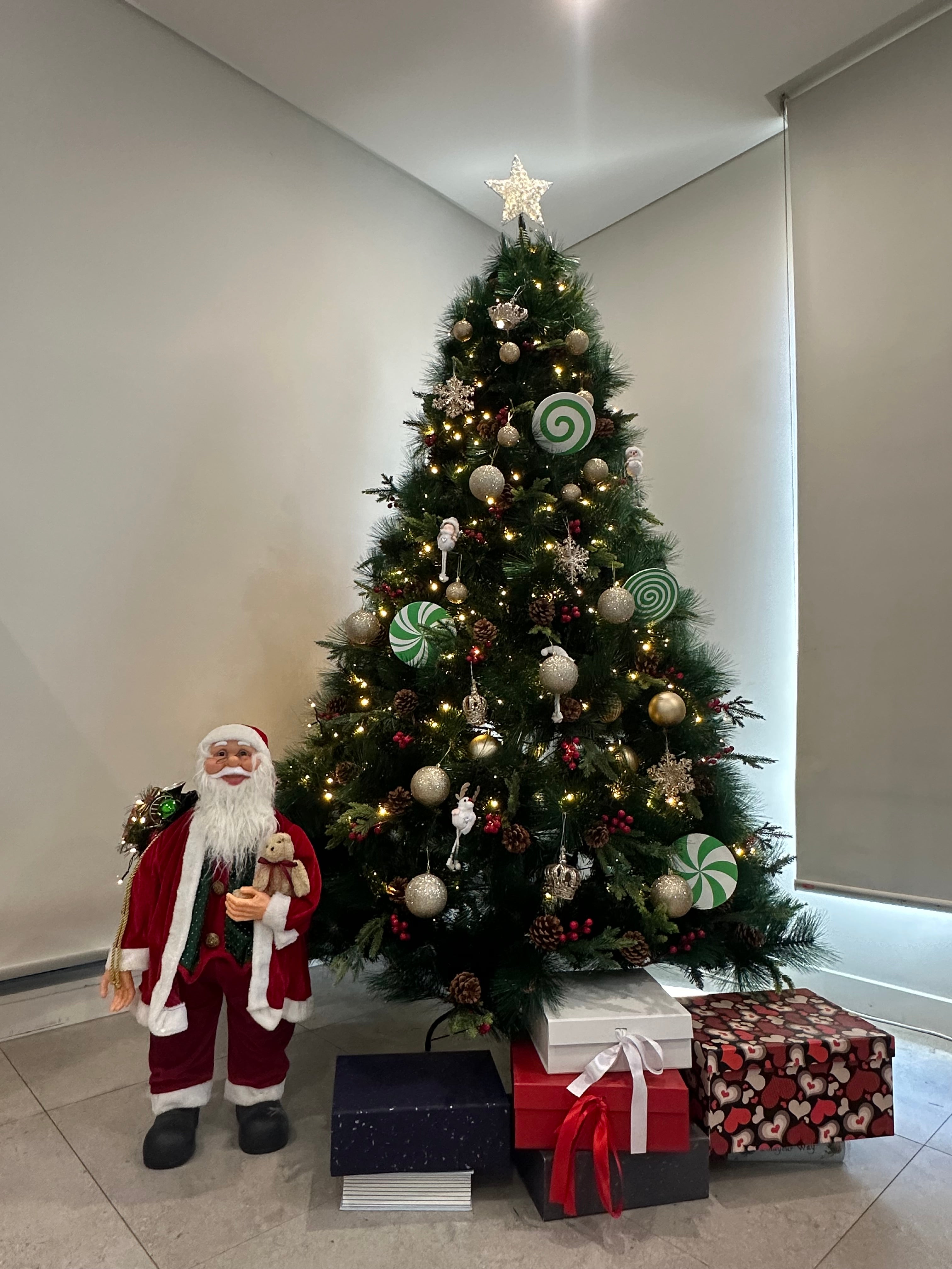 🎄 Get Your Beautiful Christmas Tree at Factory Price! 🎁
– 2.1m / 2.4m